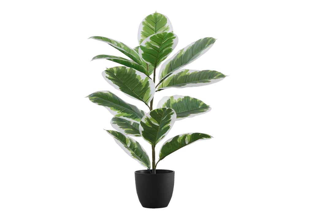 Plante artificielle verte et blanche