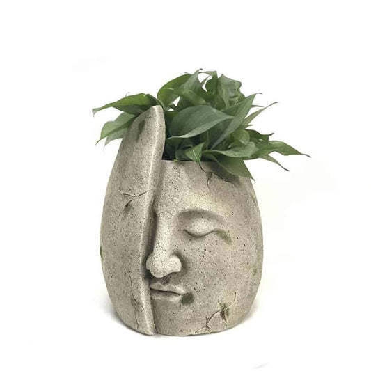 Pot à plante tête demi visage